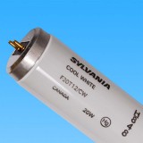 CWF燈管 SYLVANIA F20T12/CW USA&CANADA 60cm